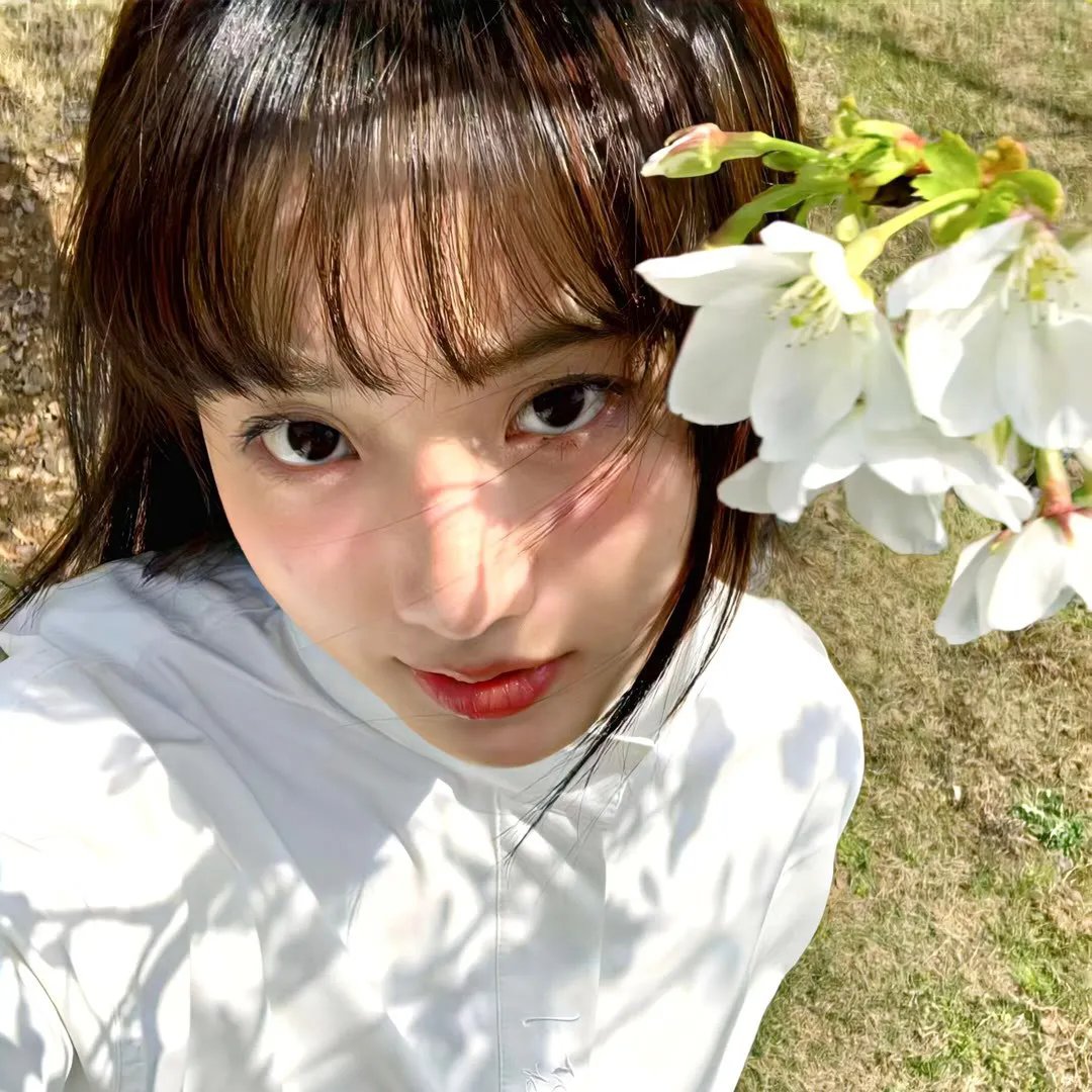 红肥绿瘦